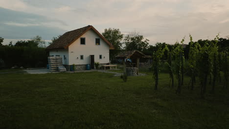 aerial view of a white villa with a well in the countryside of rural georgia