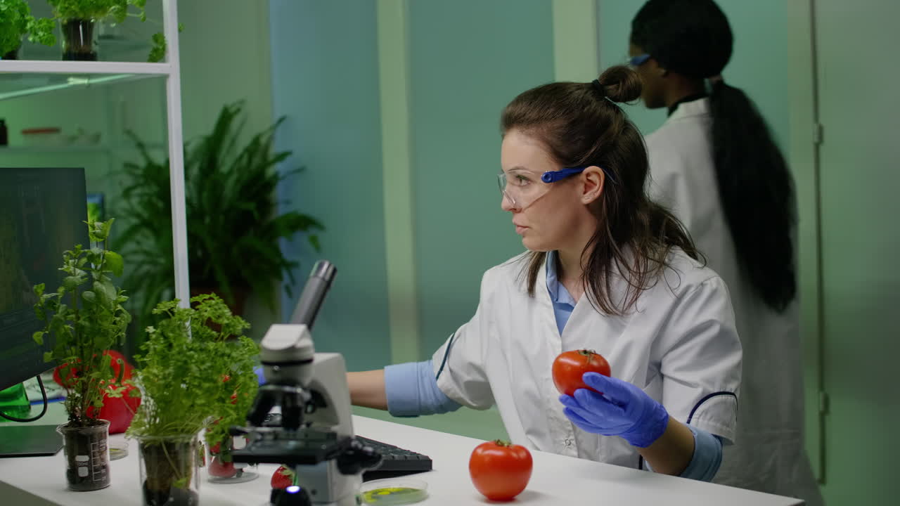 Chemist researcher typing pharmacology medical expertise on computer