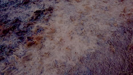 looking down at the marshy landscape below then panning up to reveal a vast lake with snowy mountains on the other side