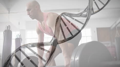 animation of dna strand over caucasian man lifting barbell on gym