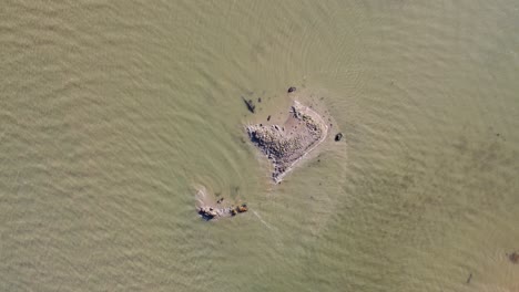 A-top-down-shot-looking-at-a-lonely-island-in-the-middle-of-the-Medway-River