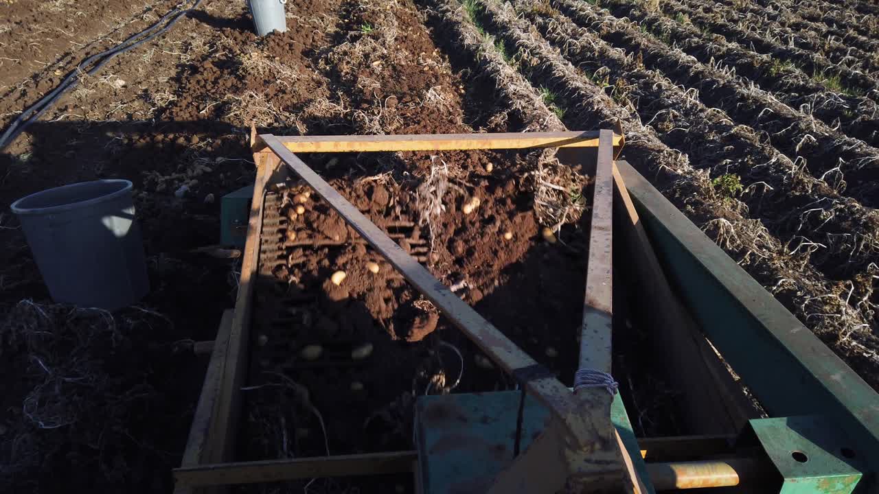 View looking off the back of a tractor as it pulls a potato harvester