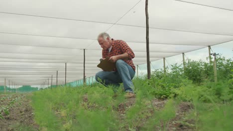 Mature-man-working-on-farm