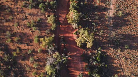 drone footage of a dry red river bed in outback australia