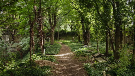 Drone-shot-creeping-through-an-ancient-graveyard-surrounded-by-lush-green-trees-and-a-stone-path