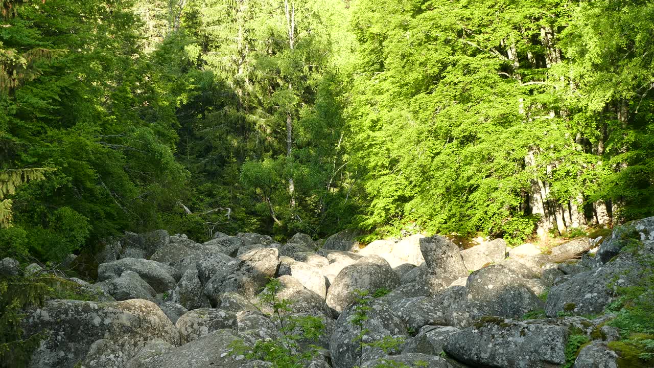 불가리아 소피아 근처의 비토샤 자연공원 (vitosha natural park) 에 있는 돌강 자연 현상.