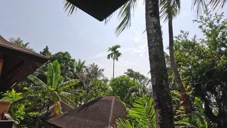 time-lapse de un entorno sereno de un complejo tropical