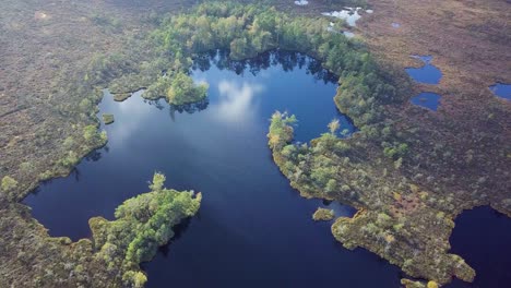 hermosa vista aérea de pájaro del paisaje pantanoso con