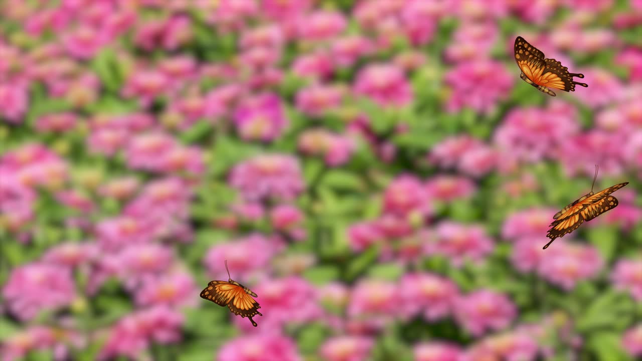 Orange butterflies gracefully flutter over a colorful flower field, creating a lively and serene visual experience