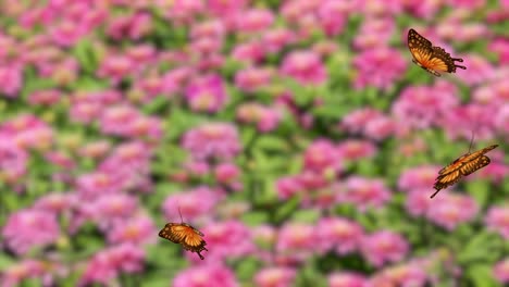 orange butterflies gracefully flutter over a colorful flower field, creating a lively and serene visual experience