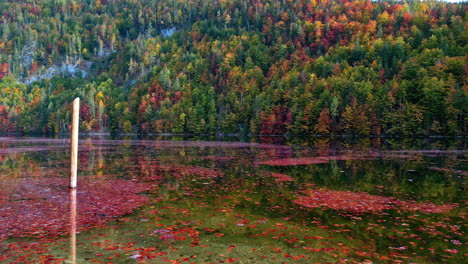 Fallen-autumn-leaves-and-debris-in-a-river-in-the-Austrian-alps---time-lapse