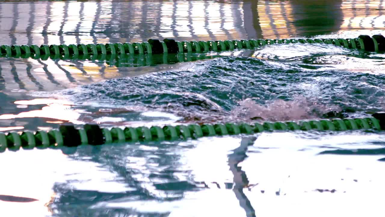 수영장 에서 나비 스트로크 를 하는 적합 한 여성 수영 선수