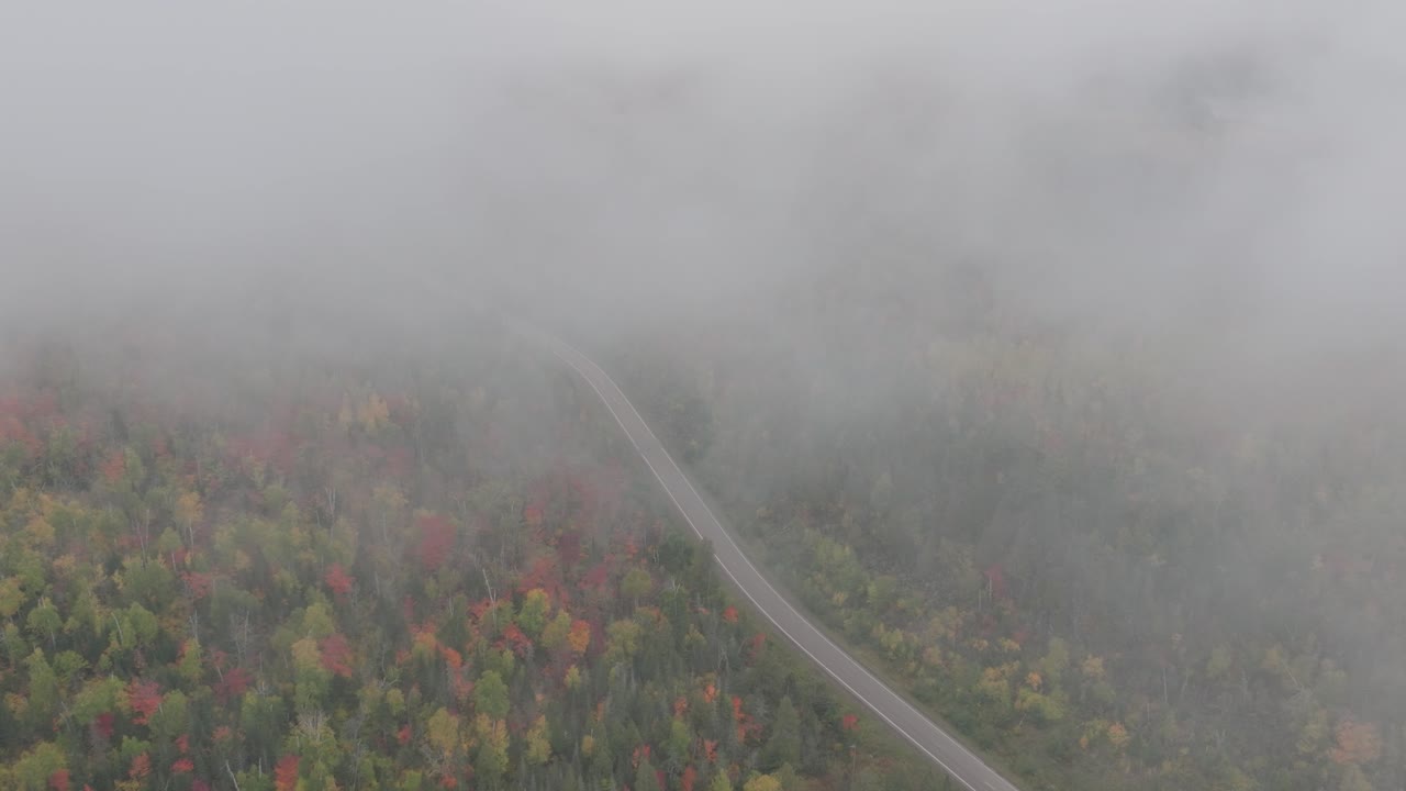 안개 가득한 가을 숲 도로, 공중