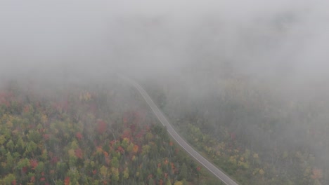 foggy misty autumn forest road, aerial