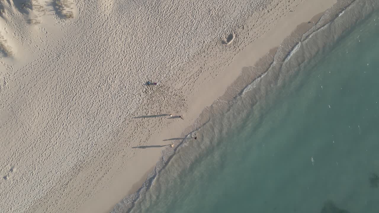 Ripresa aerea dall'alto di una famiglia che si gode la vacanza su una spiaggia sabbiosa e l'Oceano Pacifico limpido in estate.