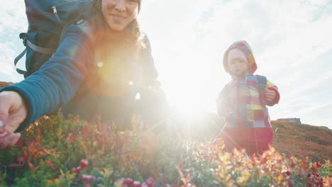 family hiking in the arctic area. mother and toddler girl hike in arctic tundra during sunny autumn day and eat berries in the wild area