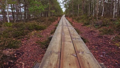 wet wooden plank pathway in middle of dense forest, moving backward