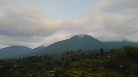 campos de arroz en bedugul cerca de bali, indonesia