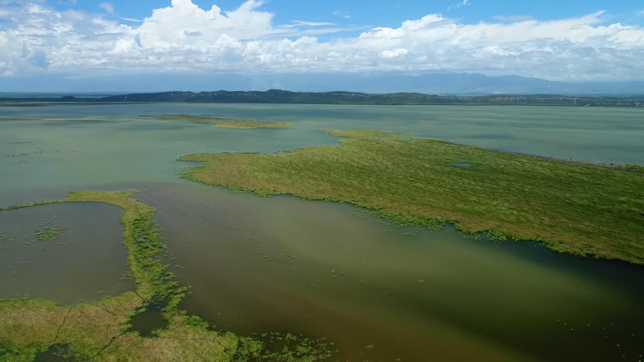 drone vuela sobre aguas poco profundas del océano verde con salidas de hierba en un día de cielo azul, antena