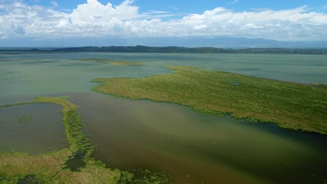 Drone-flies-over-shallow-green-ocean-waters-with-grassy-oulets-on-a-blue-sky-day,-aerial