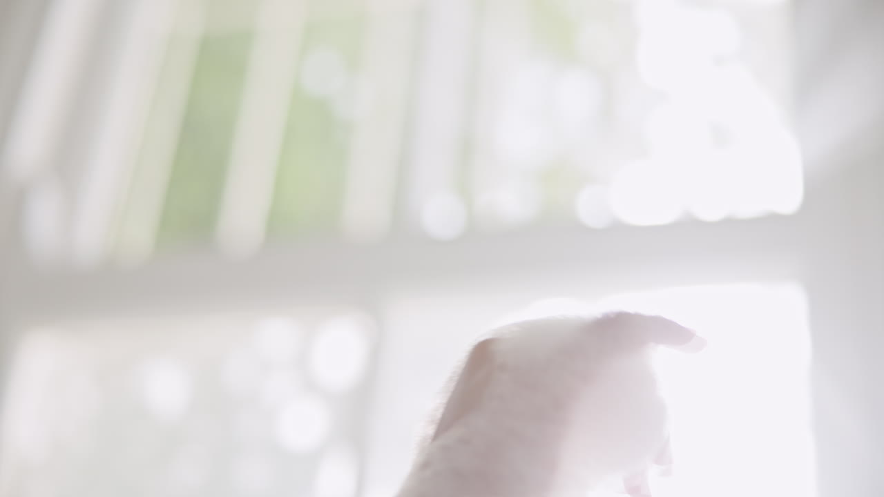 평화, 얼굴과 욕조 거품에서 여자 놀이