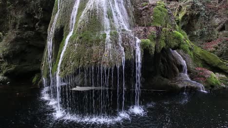 catarata cubierta de musgo