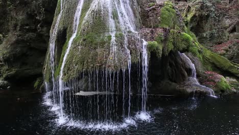 waterfall covered in moss