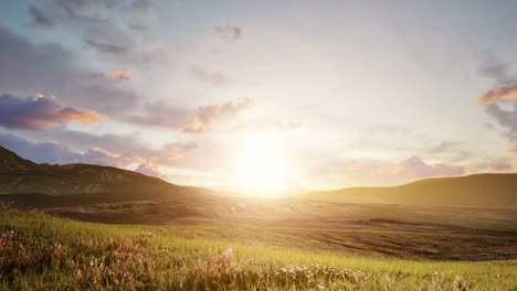 animation background of a field with the sun shining on the center behind the mountains on the grass and flowers while the clouds move