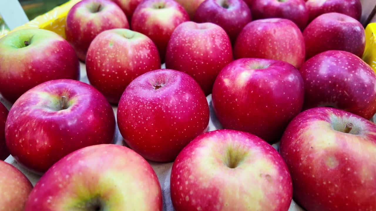 부드러운 카메라 움직임에 저장 칸에 있는 일부 사과에 대한 근접 뷰