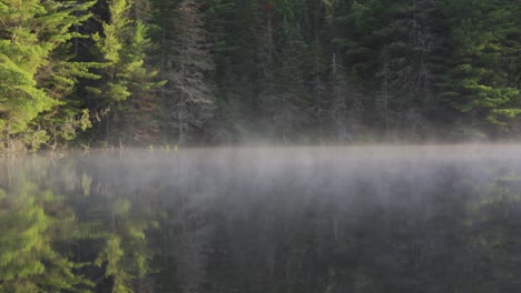 Vapor-En-Un-Lago-Tranquilo-Al-Amanecer-En-El-Hermoso-Parque-Provincial-De-Algonquin