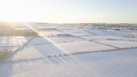 Winter-landscape-with-trees-and-fields-covered-with-white-snow-till-the-horizon-on-a-bright-cold-day-in-Scotland-during-golden-hour