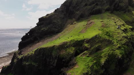 a4erial approaching shot showing grazing sheep and goats on green slope of mountain on orchid island in taiwan, 蘭嶼, lanyu