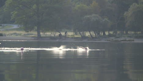 A-group-of-swimmers-enjoying-swin-in-lake-while-a-cyclist-passes-in-the-background