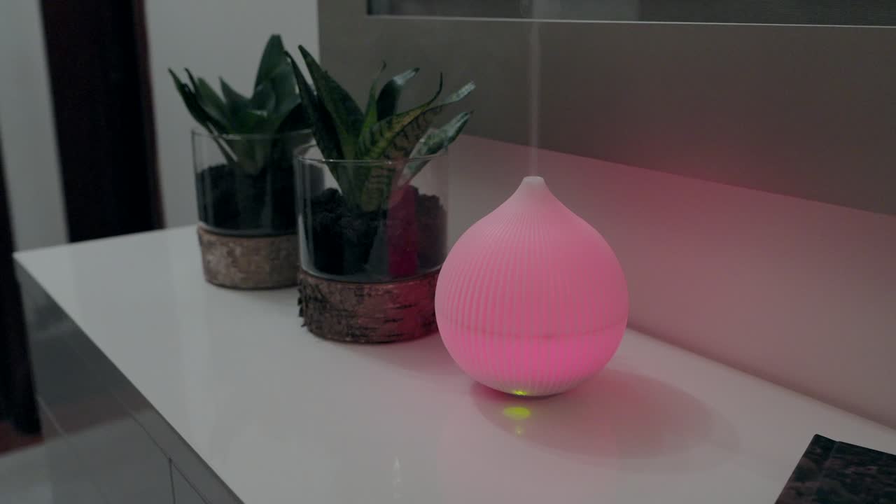 humidifier releasing steam next to indoor plants on white surface