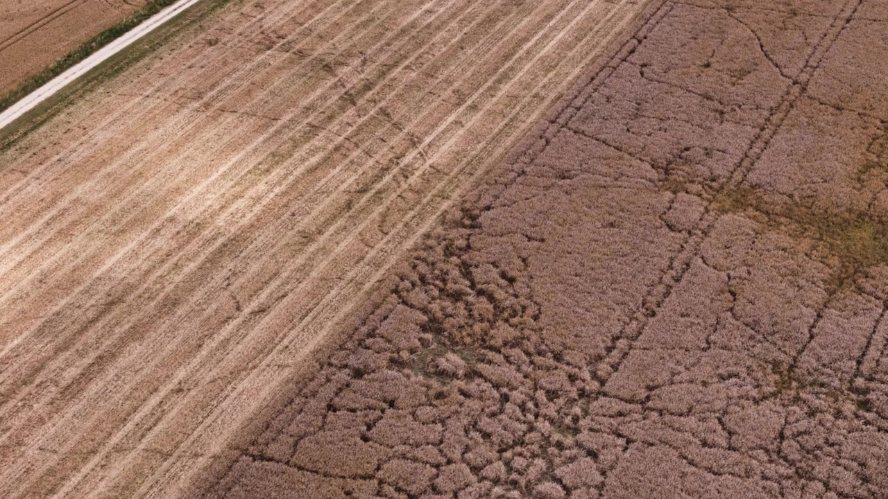 Aerial perspective of agriculture fields in Lithuania, showcasing rural landscape patterns.