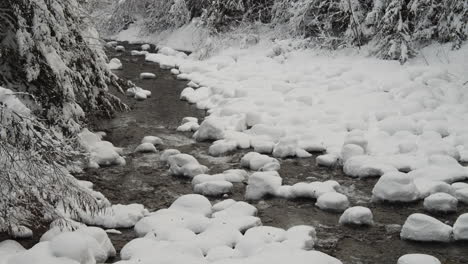 agua limpia que fluye en el arroyo con nieve