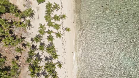 boats anchored at playa fronton beach, samana in dominican republic