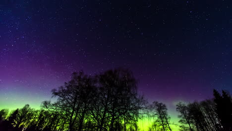 Toma-En-ángulo-Bajo-De-La-Tormenta-Solar-Aurora-Sobre-El-Bosque-De-Pinos-Por-La-Noche