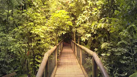 suspension wooden bridge across the rainforest amazon jungle, brazil