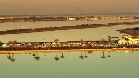 hermosas palmeras reflejo a lo largo de la carretera plano de fondo puesta de sol aérea