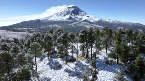 snow covered volcano and forest landscape