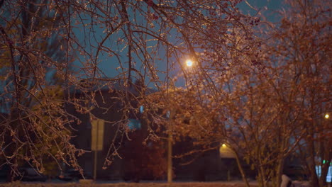 las ramas de los árboles adornadas con heladas y bayas rojas brillan bajo la luz dorada, con edificios residenciales, el fondo presenta luces de calle borrosas y sombras