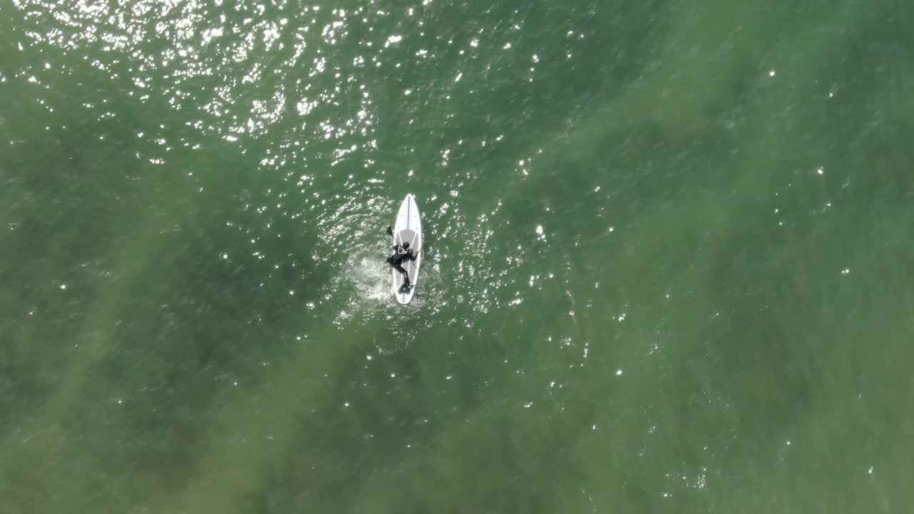 surfistas en el mar, kamakura, japón