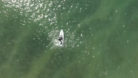 Surfers-on-the-sea,-Kamakura,-Japan