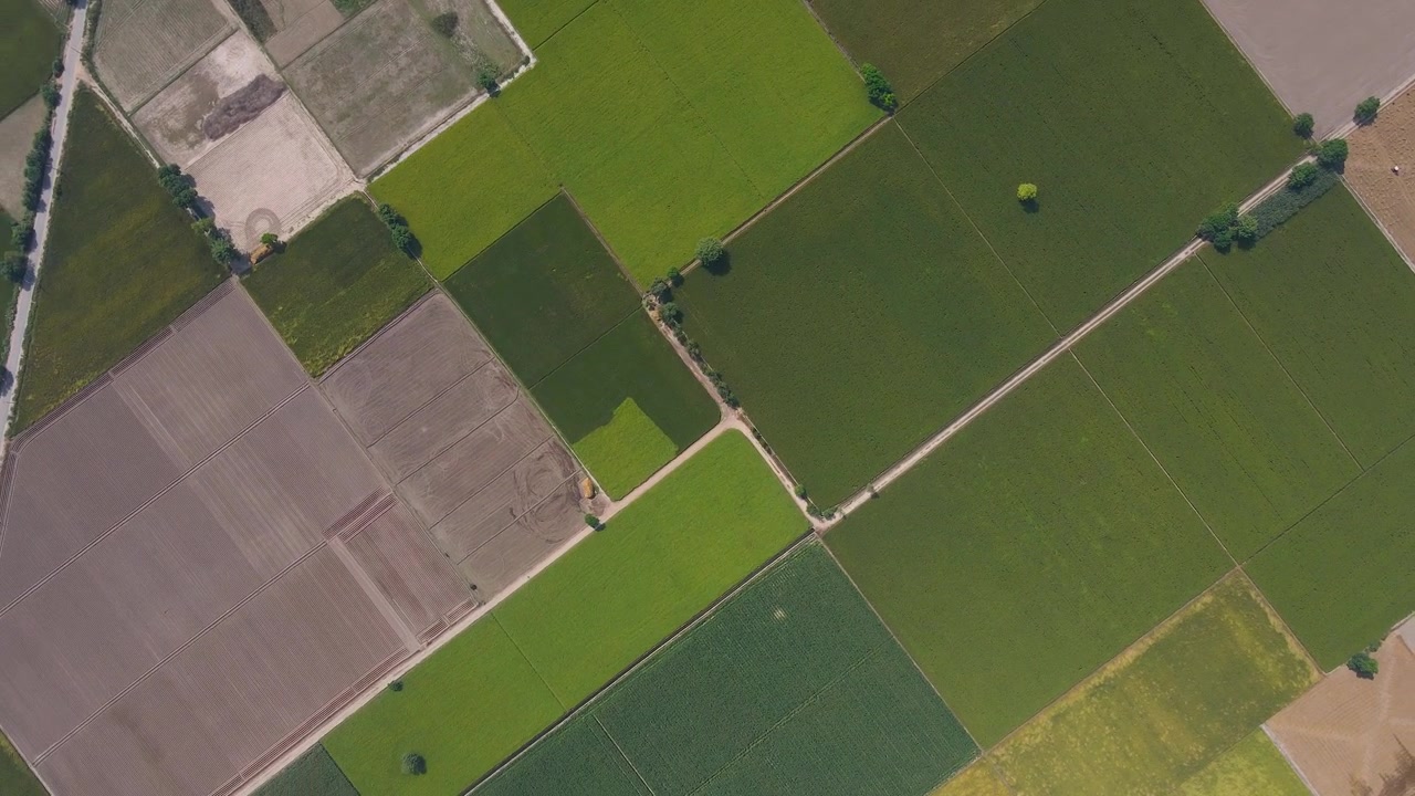 Aerial view of agricultural land with various crop fields,lash green, dirt paths, and rural landscape, Punjab, Pakistan.