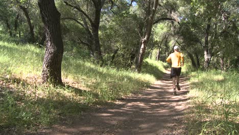 pan of a man trail running in the forest on the ventura river preserve in ojai california