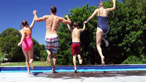 vista trasera de una familia saltando en la piscina