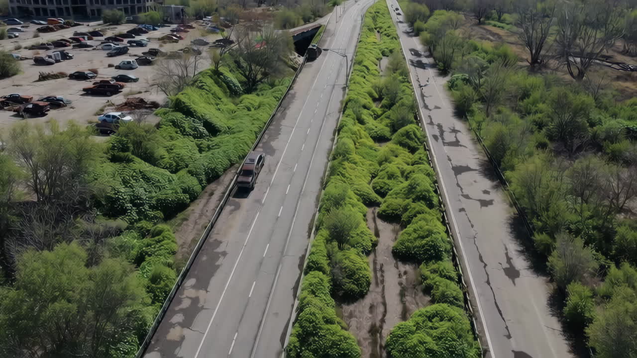 Abandoned Highway overgrown with vegetation