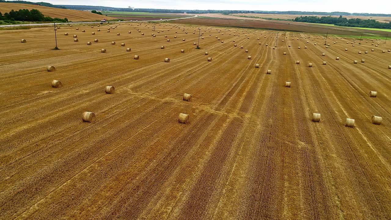 живописный вид на урожай пшеницы после уборки и скатывания в тюки сена на сельскохозяйственном поле у дороги в сельской местности