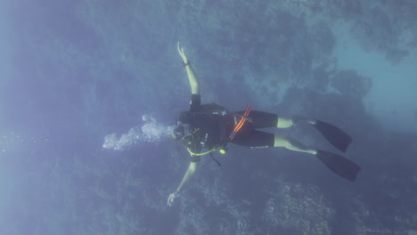 Tauchermädchen-Schwimmt-Auf-Einen-Fischschwarm-Zu-Und-Taucht-Im-Roten-Meer,-Umgeben-Von-Korallen-Und-Meereslebewesen-Mit-Der-Magie-Des-Sonnenlichts,-Aufgenommen-Auf-Einem-Rohen-Farbprofil-Im-Kinostil